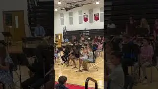 Squirrel chase🐿️ #concertmusic #music