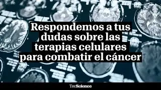 &iquest;Qu&eacute; es la terapia celular y c&oacute;mo funciona para combatir al c&aacute;ncer?