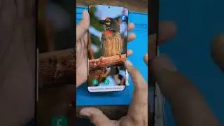 Oled Screen experiment. Zorba Mobile. flexible Screen #shorts