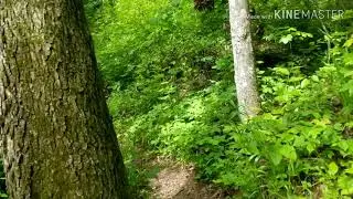 Adventure Hiking Trail Part 1