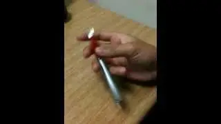 Penna Roteante