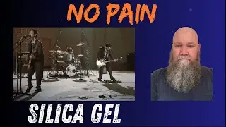 Silica Gel - No Pain (2022) reaction commentary