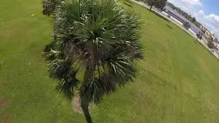 GOPR6264