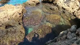 Gentle Waves on a Small White Rock Beach - Relaxing Ocean Sounds