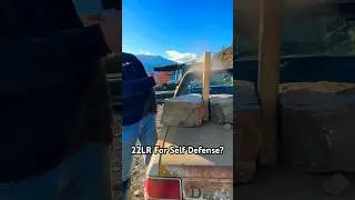 22LR For Self Defense? Part1 #shorts