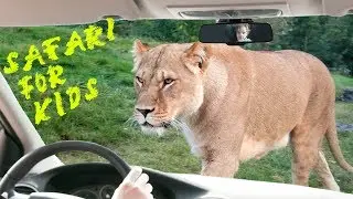 SAFARI WITH KIDS ON THREE CONTINENTS - GIVSKUD ZOO VEJLE DENMARK