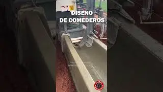 El dise&ntilde;o de comederos y de corrales es lo mas importante #corral #vaca #vacas #toros #ganaderia