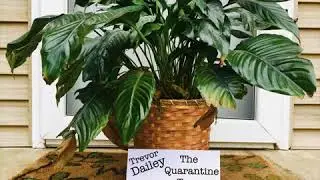 Running Out of Time (Audio) - Trevor Dailey