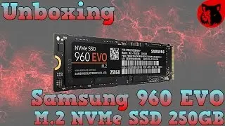 Unboxing 🐺 Samsung 960 EVO M.2 NVMe SSD 250GB