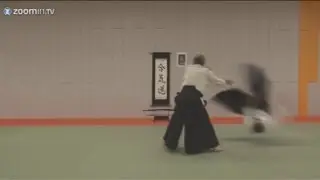 Aikido - Gyaku Hanmi Katate Dori Kokyu Nage