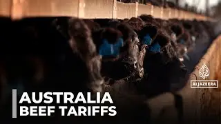 Beef exports to China: Australian farmers concerned about cap, new tariffs