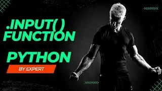 The Input Function Python | Details Easy Way