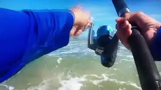Surf Fishing 11-14-2020 at SPI