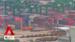Singapore's non-oil exports fall 14.6% in November