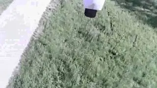 dynam SR esc burns after Landing