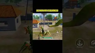 Scorpion vs Barkle