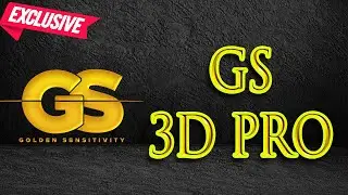 GS 3D PRO