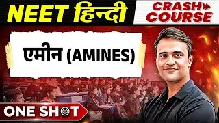 एमीन (Amines) in One Shot | NEET हिंदी माध्यम Crash Course 🔥
