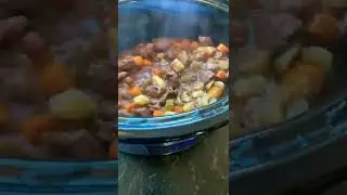 HOW TO COOK THE PERFECT MOOSE STEW IN A CROCKPOT #shorts #moosestew