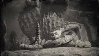oh you think being a snake is impossible on rd2?