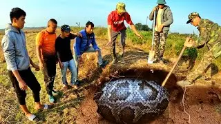 8 Brave Experts Catch Giant Snakes With Their Hands