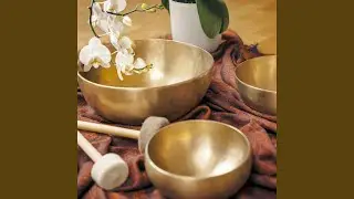 Cuencos Tibetanos 396 Hz. + Solfeggio : Libera culpas, miedos y fobias, despertar y volver al...