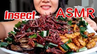 ASMR Insect Fried Edible BUGS (CRUNCHY EATING SOUNDS) NO TALKING| Mew