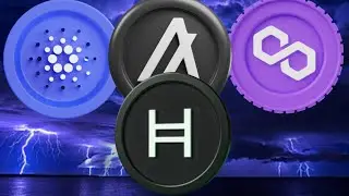WARNING To All Altcoin Investors: Prepare For This!
