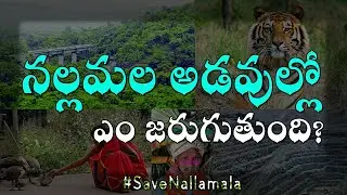 nallamalla issue explained in telugu | Shivamani facts | save nallamalla forest