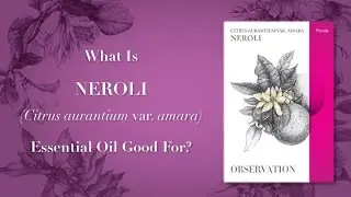 What Is Neroli Essential Oil Good For Video 1 of 2