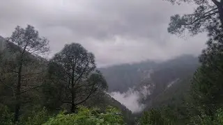 nanital #shorts #facts #funnymemes #marvel #funnypictures #movie