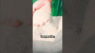 How to get rid of ants in your lawn