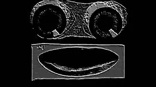 Ai SCP-909