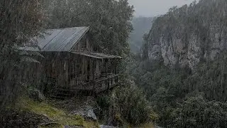 Rainfall Over the Mossy Forest Hut | Quiet Wilderness Night Ambience