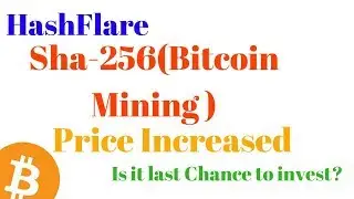 HashFlare SHA-256(bitcoin mining) price increased . is it last chance to invest?