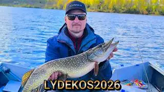 2026 lydekų žvejybos sezono atidarymas! Tokio dydžio lydekų tikrai nesitikėjau!