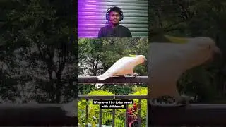 baccha nahin bolna uncle 🤣😅 |Animal funny dubbing |#thomasshelby#jumpstyle#lipsync#dubbing#shorts