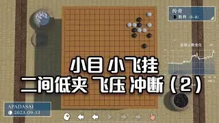 围棋： 围棋定式大全：小目 小飞挂 二间低夹 飞压 冲断（2）