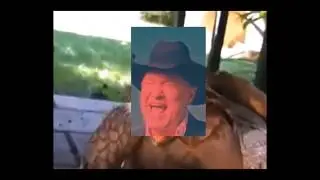 Turtle orgasm AAAAAAA