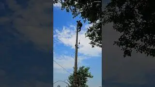 Stay Set For Electric Pole || Lineman Universe  || #lineman #shorts #electrican