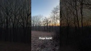 Opening day of hunting season in Iowa! Saw a giant out of range #publiclandhunting #hunting #iowa