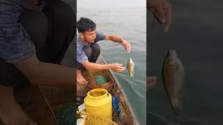 Amazing River hook fishing #fish #viral #fishing #shorts