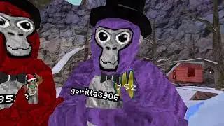 im the co. Owner of VTX