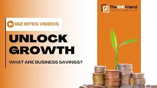 What are business savings?
