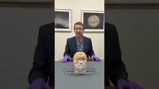 Эта посмертная маска была изготовлена ​​через несколько часов после смерти сэра Исаака Ньютона
