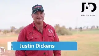 Justin Dickens talks about his Te Pari Cattle Yards |  JAD Speckle Park