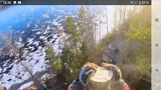 Echo CS 2511 TES Climbing, Season 2020 First Tree Removal. 2020 ensimmäinen puunkaato kiipeillen.