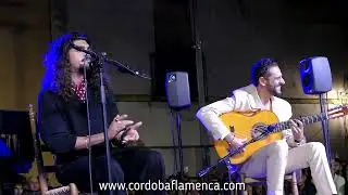 Los mejores momentos de la Noche Blanca del Flamenco de Córdoba 2024