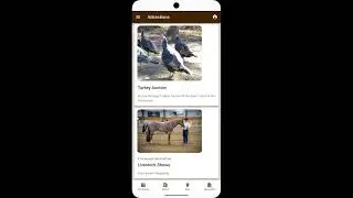 WS Mobile App Demo