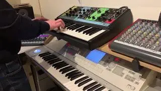 Moog Grandmother synth improv